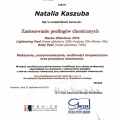 Powiększ obraz: certificate 42