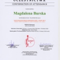 Powiększ obraz: certificate 19