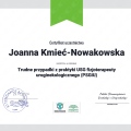 Powiększ obraz: certificate 42