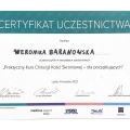 Powiększ obraz: certificate 4