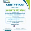Powiększ obraz: certificate 9