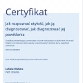Powiększ obraz: certificate 181