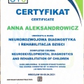 Powiększ obraz: certificate 10