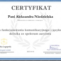 Powiększ obraz: certificate 1