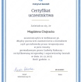 Powiększ obraz: certificate 4