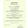 Powiększ obraz: certificate 17