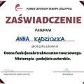 Powiększ obraz: certificate 14