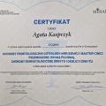 Powiększ obraz: certificate 52