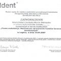 Powiększ obraz: certificate 106