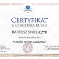 Powiększ obraz: certificate 11
