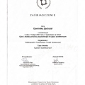 Powiększ obraz: certificate 9