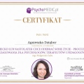 Powiększ obraz: certificate 8