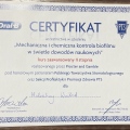 Powiększ obraz: certificate 2