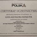 Powiększ obraz: certificate 9
