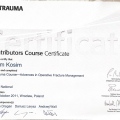 Powiększ obraz: certificate 27