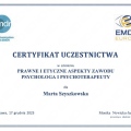 Powiększ obraz: certificate 10