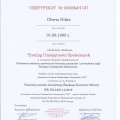 Powiększ obraz: certificate 4