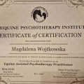 Powiększ obraz: certificate 4