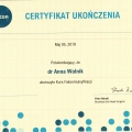Powiększ obraz: certificate 10