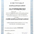 Powiększ obraz: certificate 1