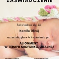 Powiększ obraz: certificate 7