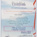 Powiększ obraz: certificate 4