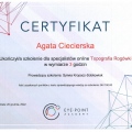 Powiększ obraz: certificate 6