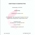Powiększ obraz: certificate 3