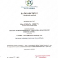 Powiększ obraz: certificate 11