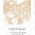 Powiększ obraz: certificate 5