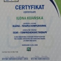 Powiększ obraz: certificate 11