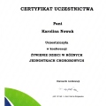Powiększ obraz: certificate 26