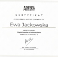Powiększ obraz: certificate 14