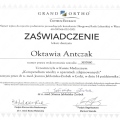 Powiększ obraz: certificate 2