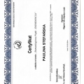 Powiększ obraz: certificate 10