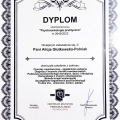 Powiększ obraz: certificate 1