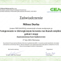 Powiększ obraz: certificate 45