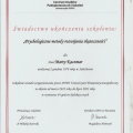 Powiększ obraz: certificate 9