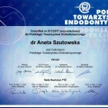 Powiększ obraz: certificate 16