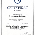 Powiększ obraz: certificate 4