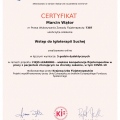 Powiększ obraz: certificate 6