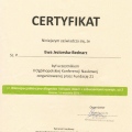 Powiększ obraz: certificate 45