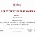 Powiększ obraz: certificate 32