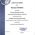 Powiększ obraz: certificate 1