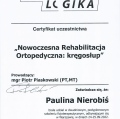 Powiększ obraz: certificate 5