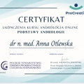 Powiększ obraz: certificate 4