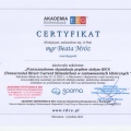 Powiększ obraz: certificate 1