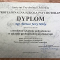 Powiększ obraz: certificate 1