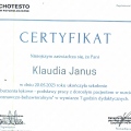 Powiększ obraz: certificate 5