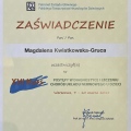 Powiększ obraz: certificate 11